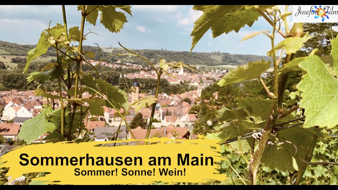 Ausflugsziel #Sommerhausen am Main! Sommer! Sonne! Wein! Nichts wie hin!