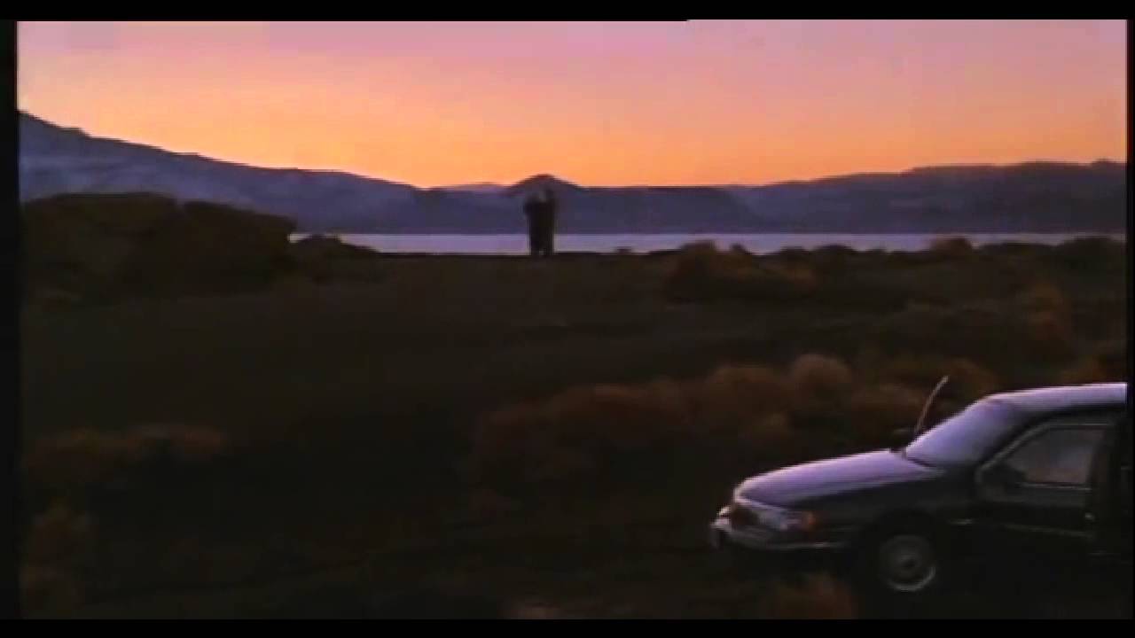 Laurie Anderson Strange Angels-The Doctor-Un medico, Un Uomo