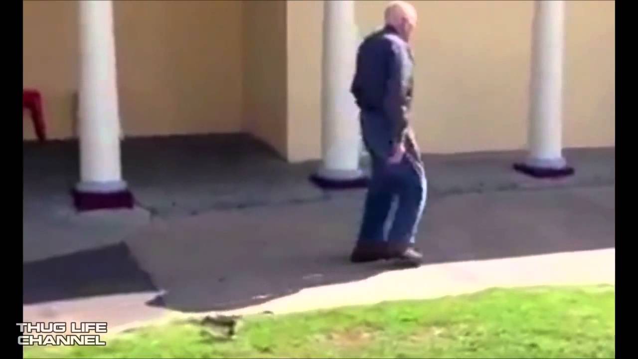 Thug Life  OLD MAN VS SNAKE