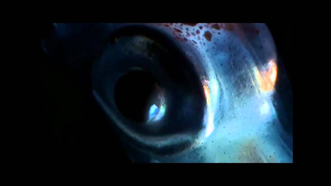 Carsten Jost - Krokus (Superpitcher Remix)