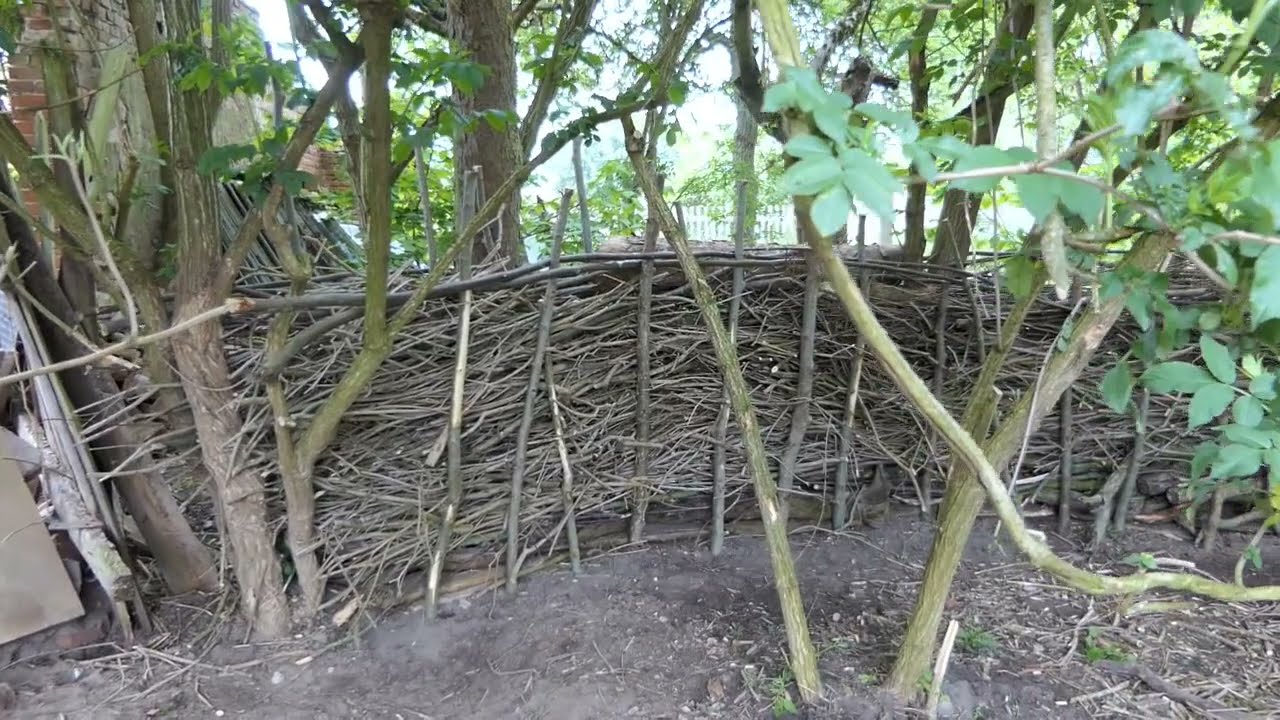 The Deadwood Hedge