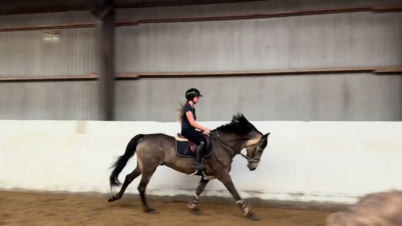 Valack 9 år 