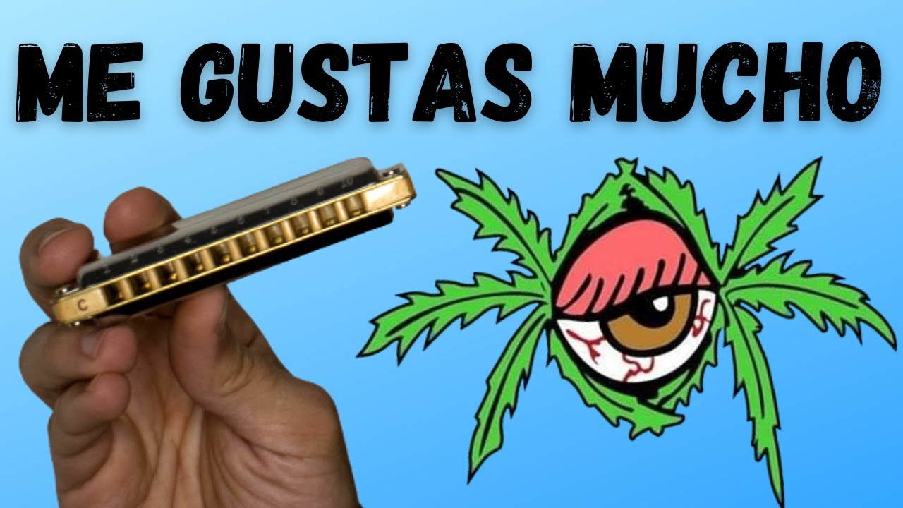 ME GUSTAS MUCHO Cómo tocar en ARMÓNICA Viejas Locas