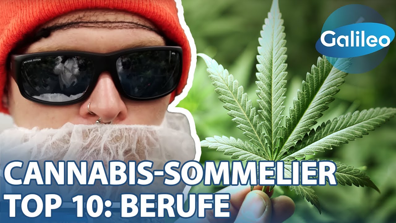 Cannabis-Sommelier: Top 10 ungew&ouml;hnliche Berufe 💸
