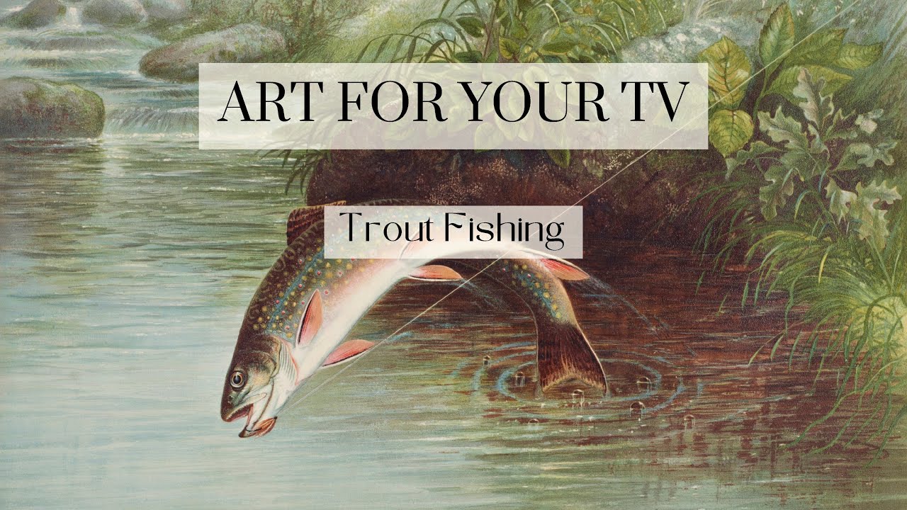 Trout Fly Fishing Samsung Frame TV Art, Art for the TV, 2 Hours NO MUSIC, Outdoors, Nature Landscape