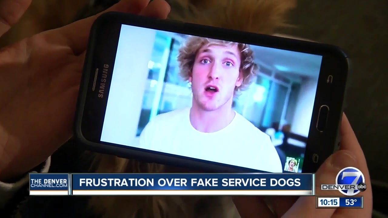 Frustration mounts over fake service dogs in Colorado