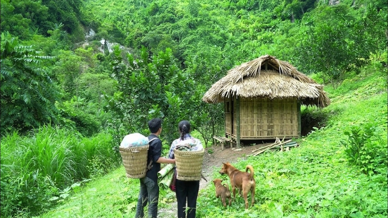 Having their house and land seized, Nam and Sa built a bamboo house in the middle of the wilderness