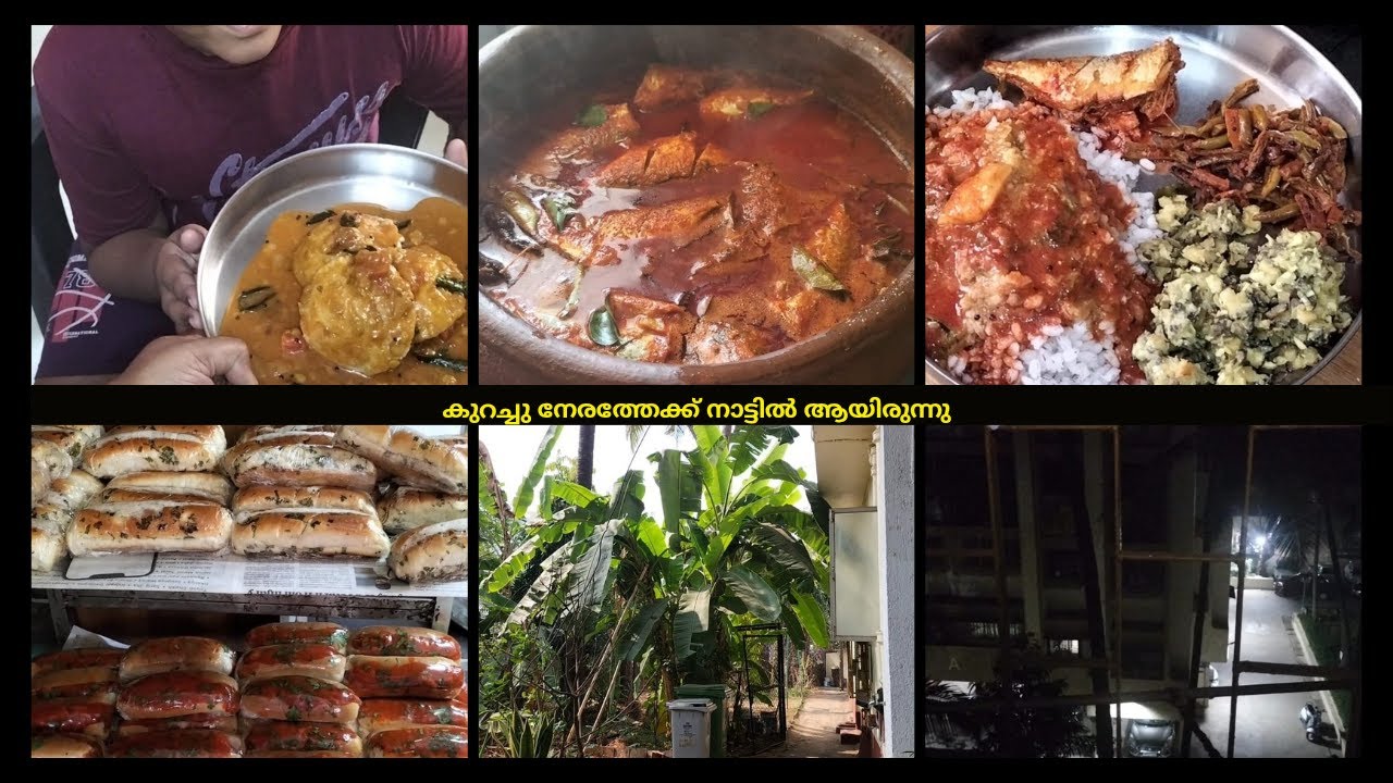 കുറച്ചു നേരത്തേക്ക് നാട്ടിൽ ആയിരുന്നു