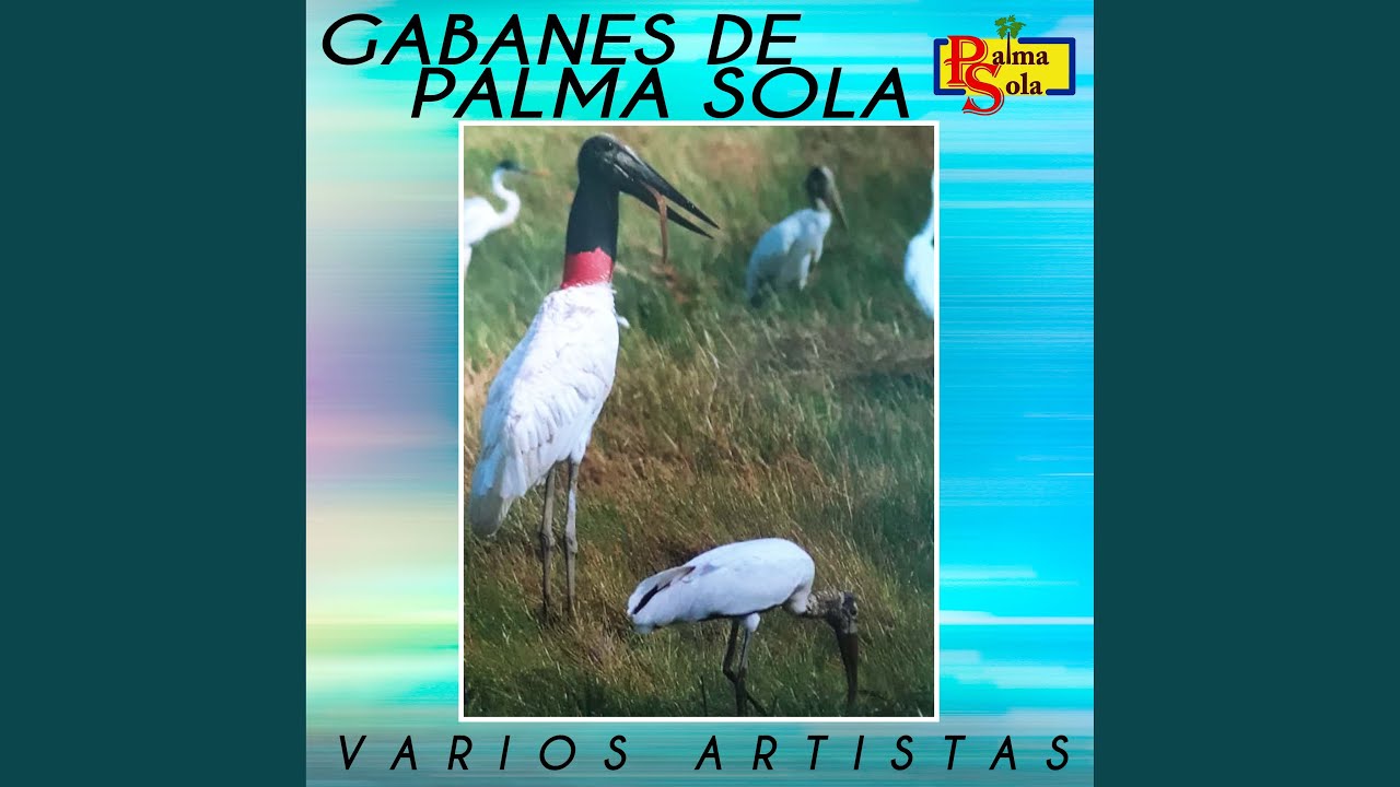 El Gabán Huesito