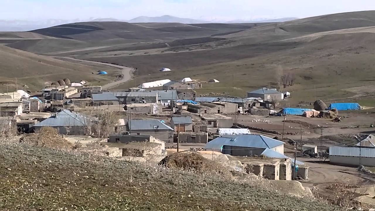 Asagi kulecik koyu
