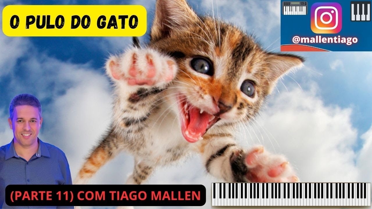 APRENDA A TOCAR TECLADO DE UM JEITO DIFERENTE . (COM TIAGO MALLEN)  O PULO DO GATO (PARTE11).