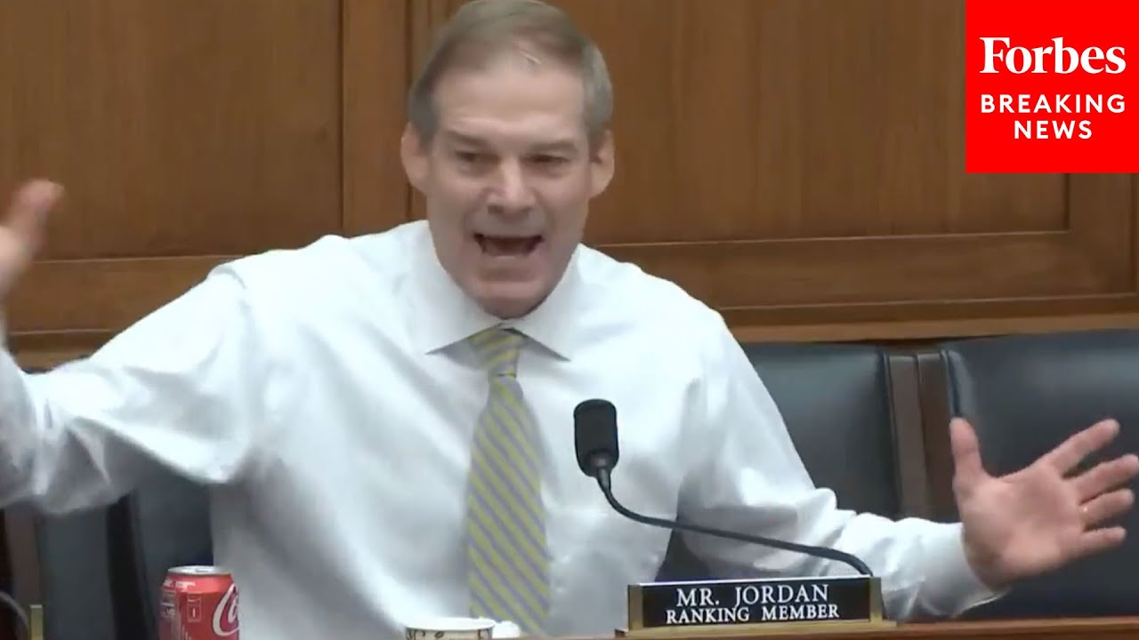 'Dumbest Thing I've Heard Said Today - Holy Cow!': Jim Jordan Unleashes On Democrats During Hearing