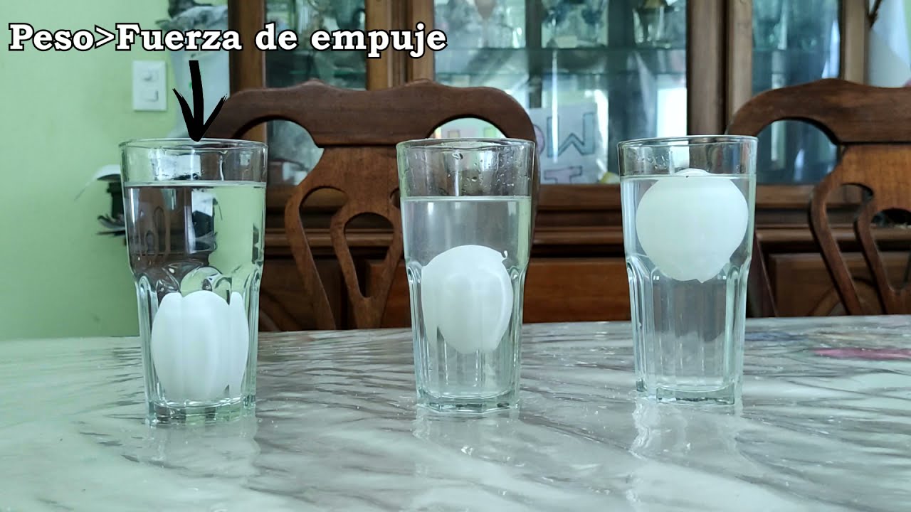 ¿Por qué los huevos flotan de forma diferente? | Principio de Arquímedes