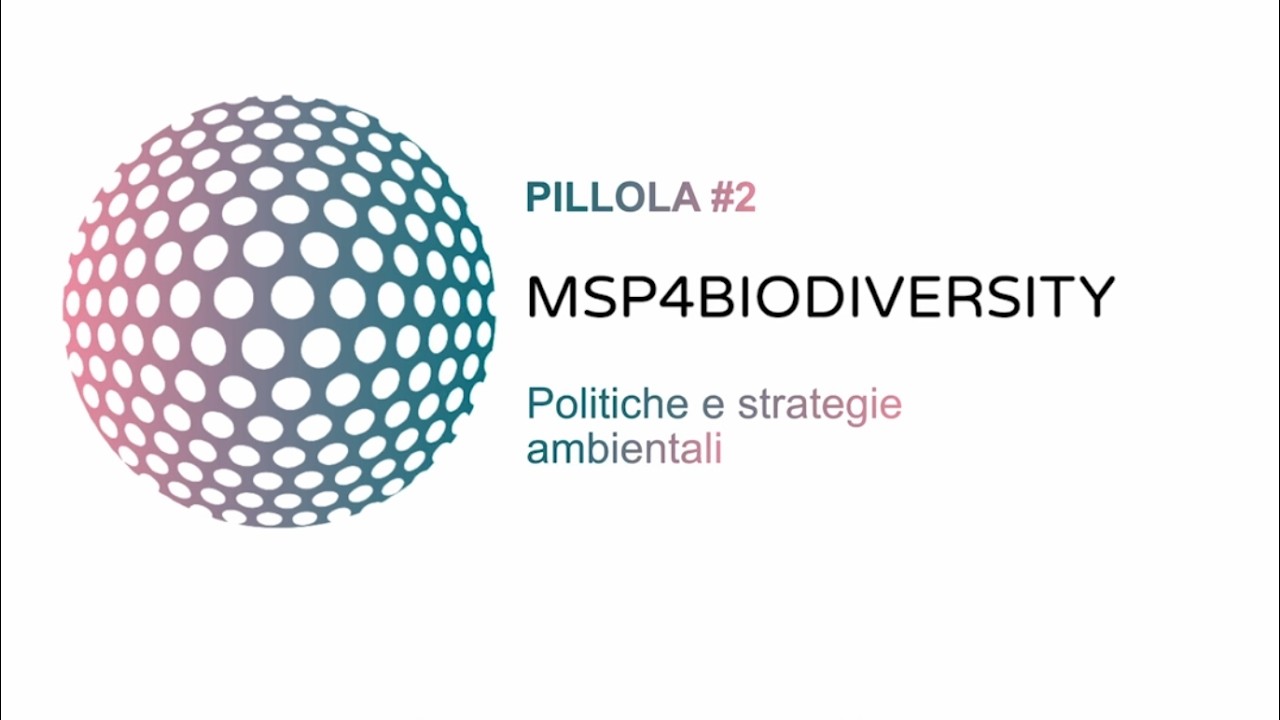 Programma NBFC. Pillole di conoscenza. 02 – Politiche e strategie ambientali
