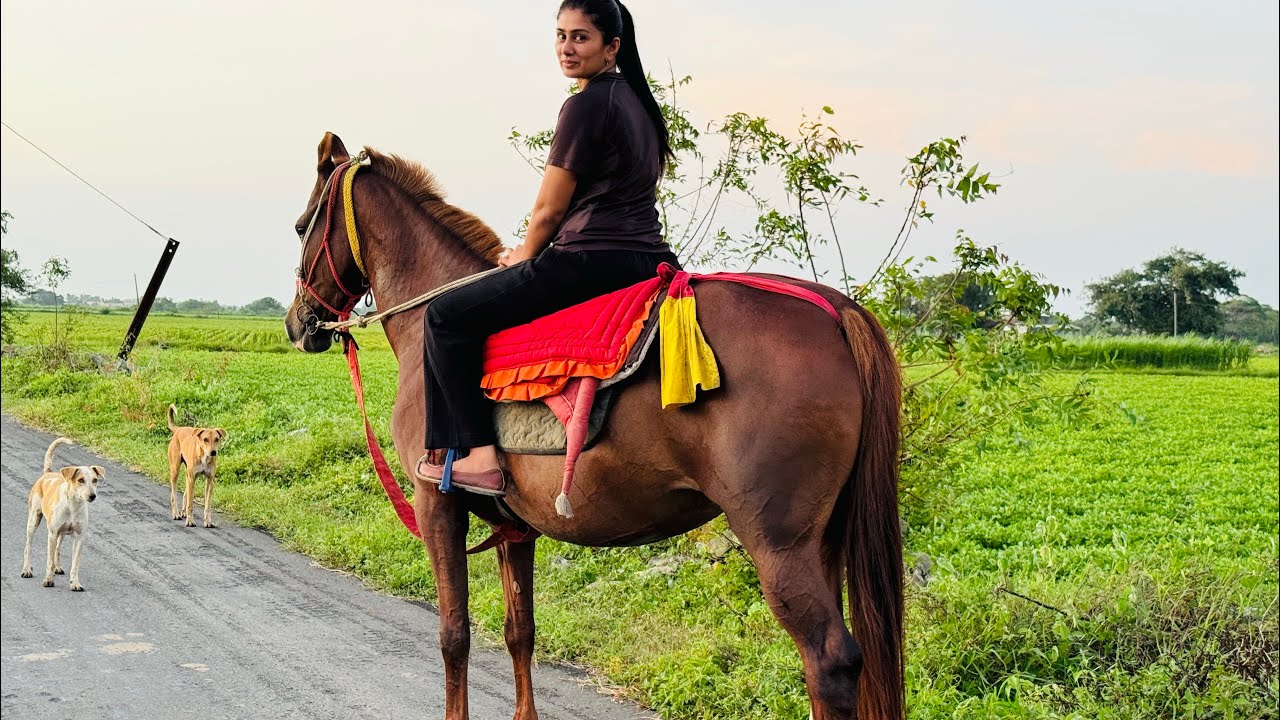 Toral ki riding pregnancy me