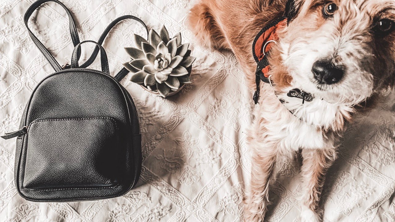 WHAT'S IN MY BAG | Minimalist Edition