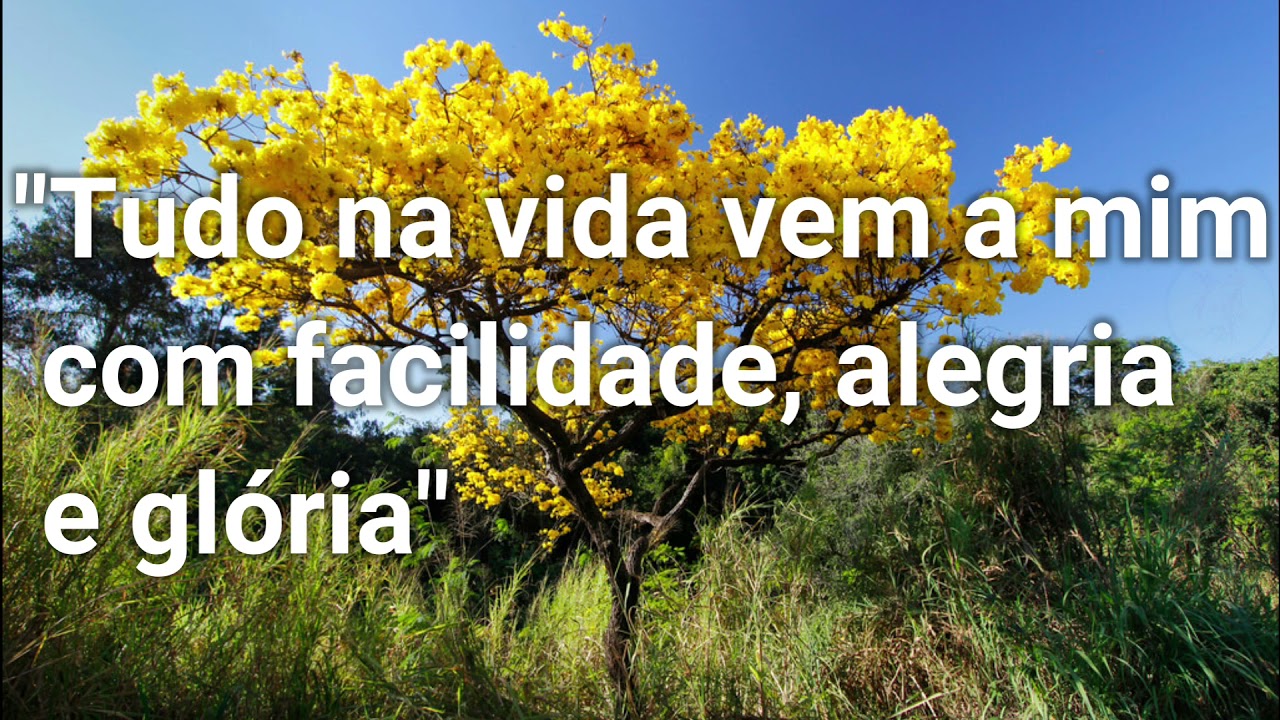 MANTRA - TUDO NA VIDA VEM A MIM COM FACILIDADE, ALEGRIA E GLÓRIA - Áudio com 108 repetições.