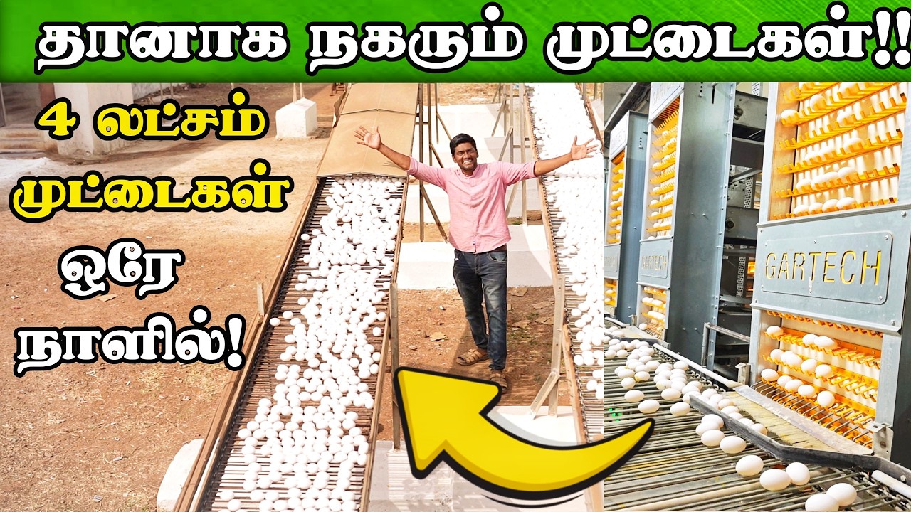 ஆட்களே இல்லாமல், இப்படி ஒரு முட்டை பண்ணையா! | GARTECH Egg Layer Farm  #egg