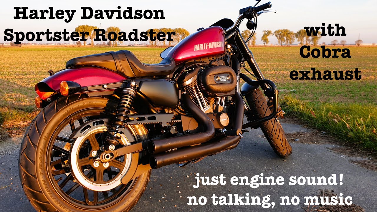Harley Davidson Sportster Roadster - extensive overview (only exhaust sound, no talking, no music)