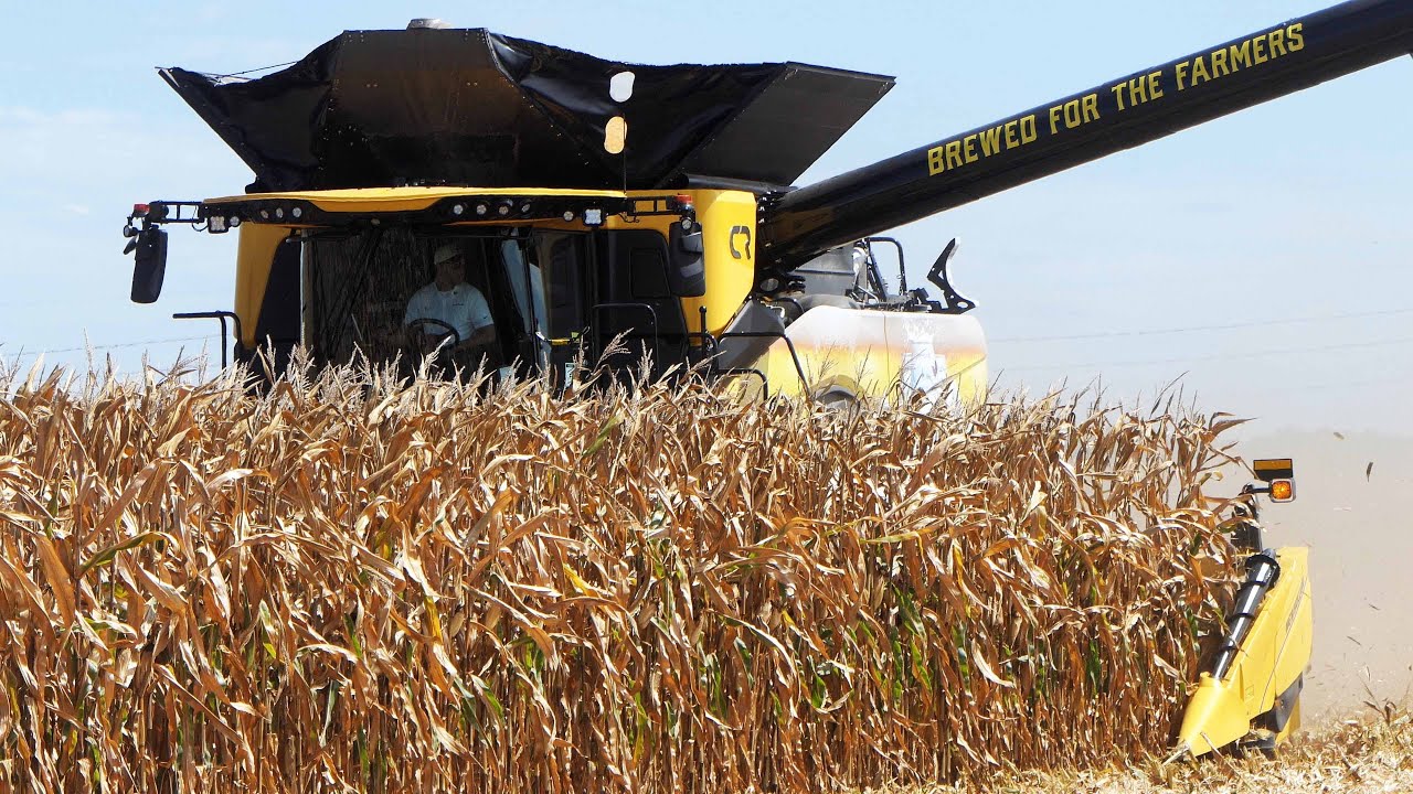 New Holland CR11 Harvesting Corn with 16-row corn head at Farm Progress Show 2025 | Big Farming