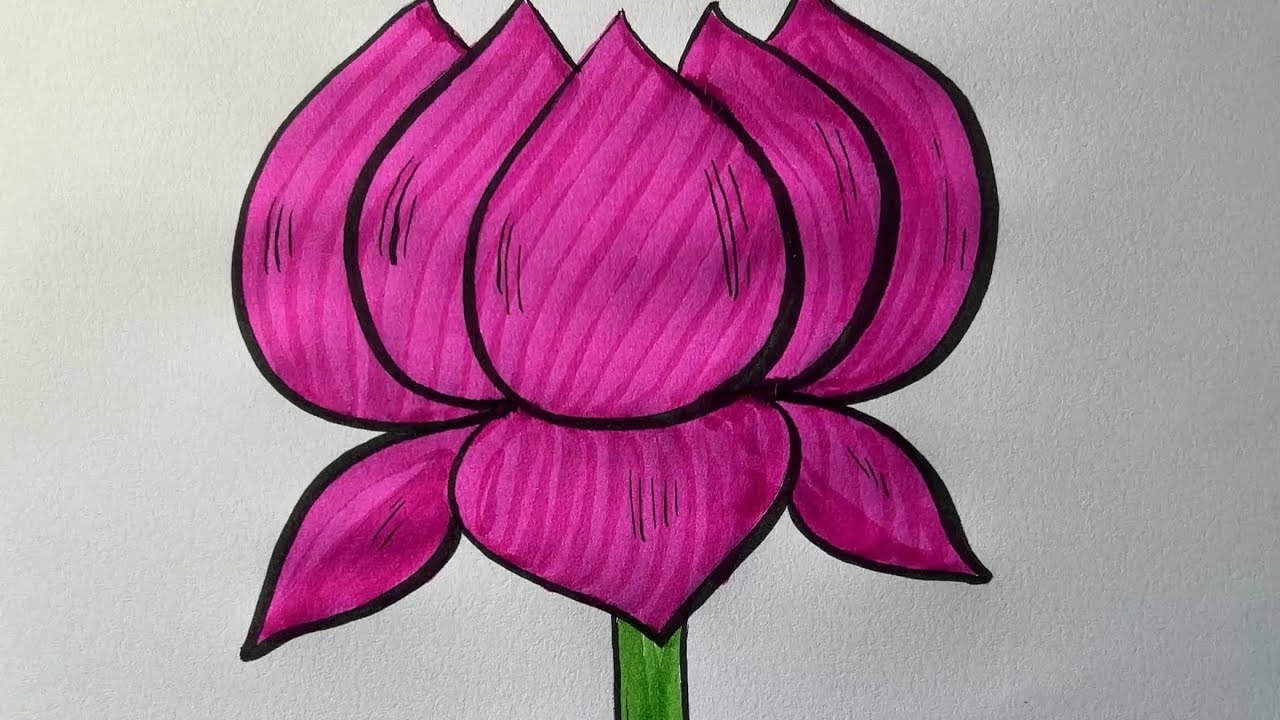 Beautiful lotus drawing 🪷