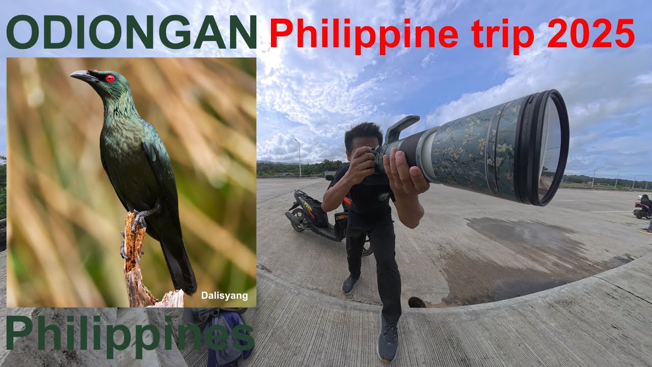 Philippine trip 2025, Odiongan romblon/Manila
