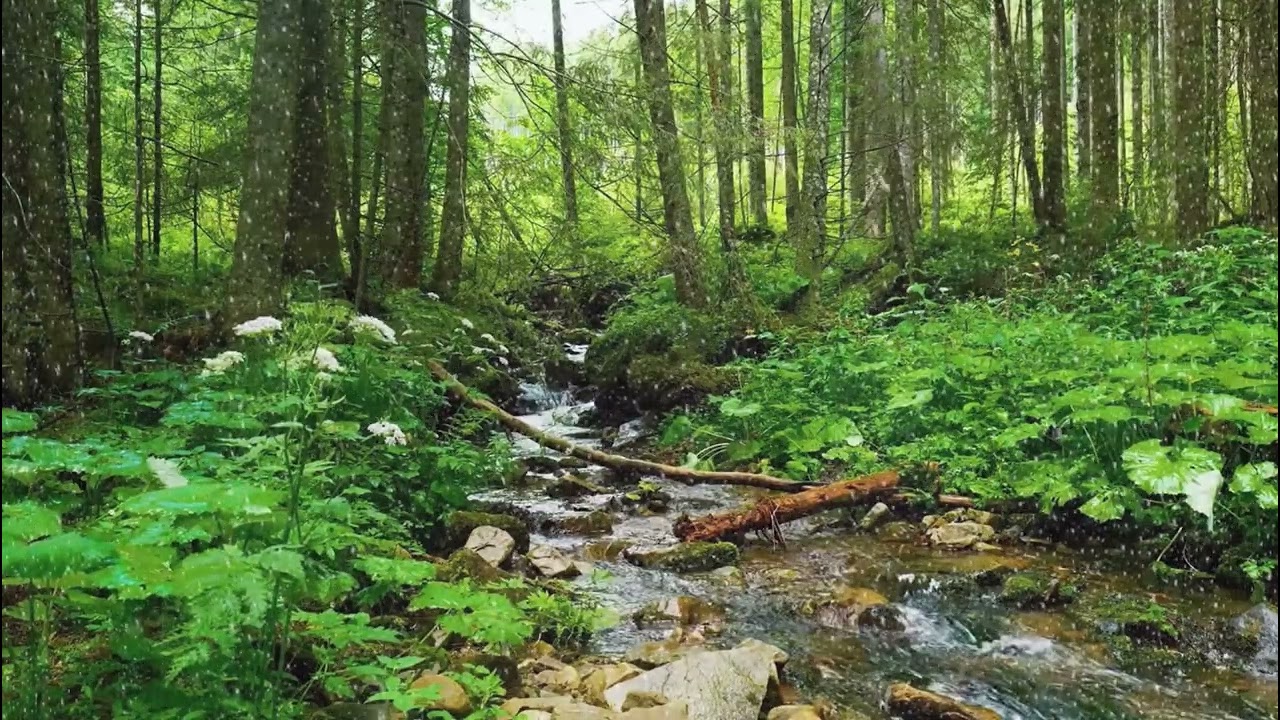 🎹🍃 Gentle Piano with Natural Sounds | Calm Relaxing Music