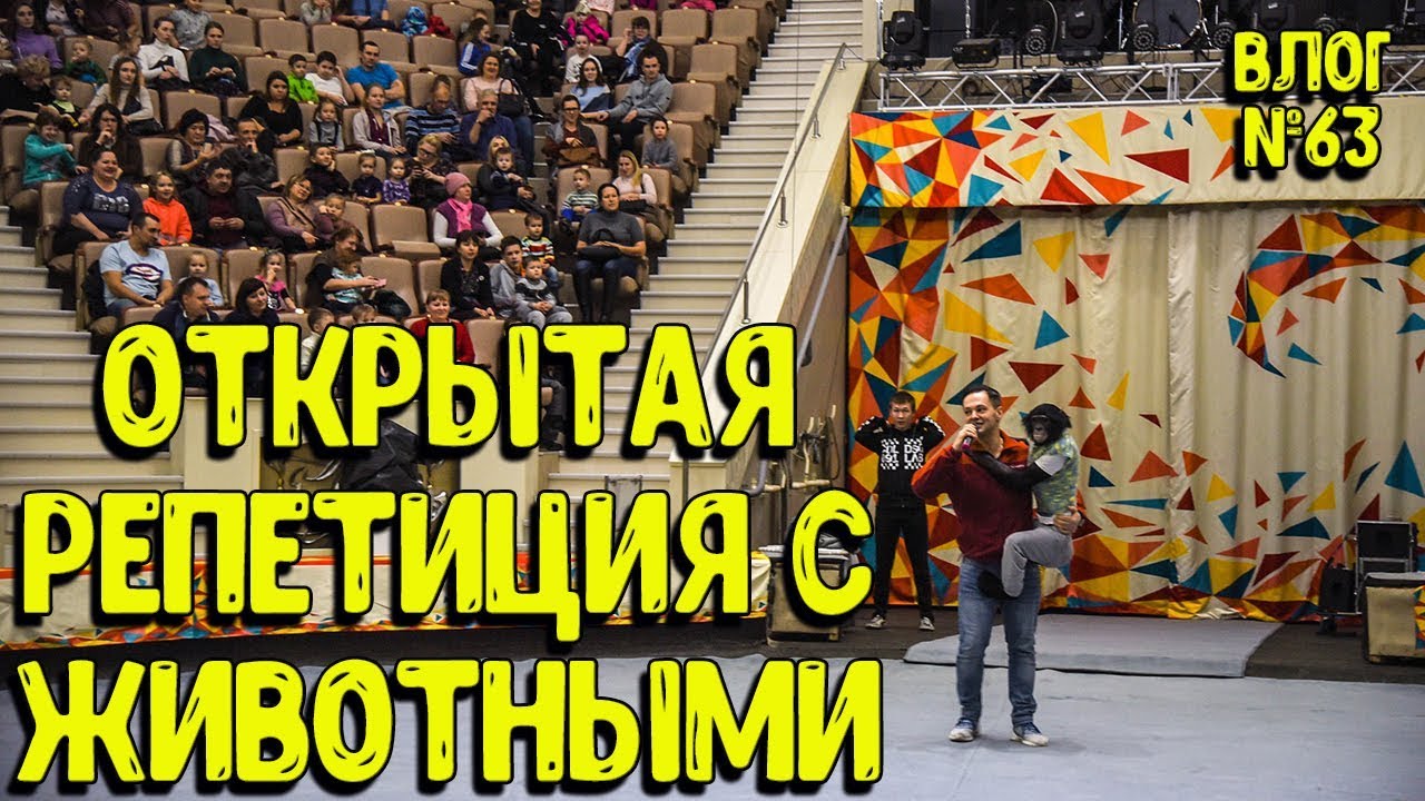 Дан Запашный и Нижнетагильский Цирк организовали открытую репетиция артистов и их животных