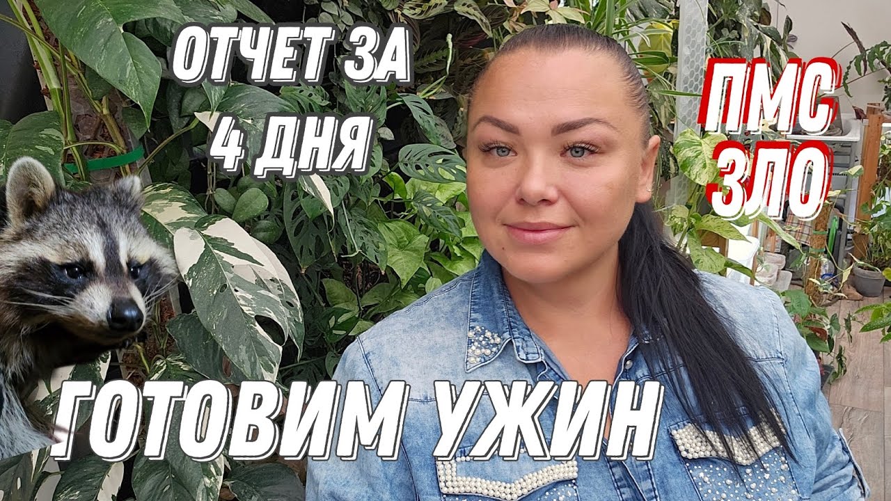 #18. Отчёт по питанию, начались качели.#дневникпохудения #пп #моипитомцы #готовимдома