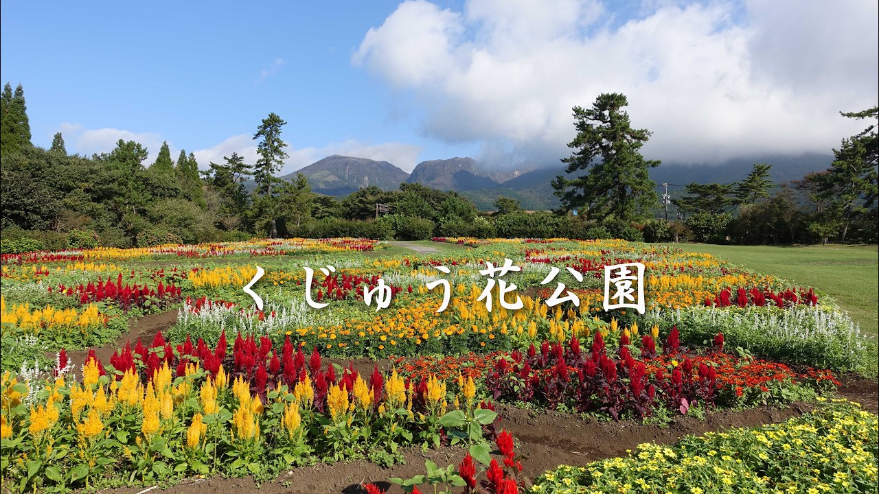 くじゅう花公園