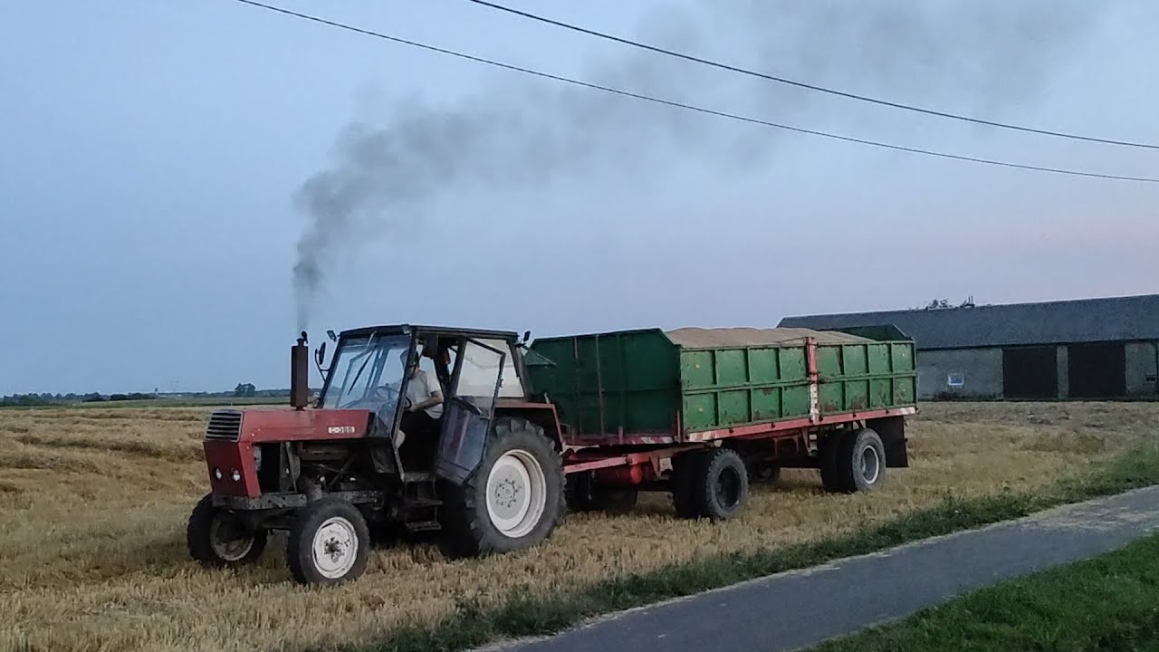 Ursus c385 vs 14 ton pszenicy Autosan d83 Żniwa 2022