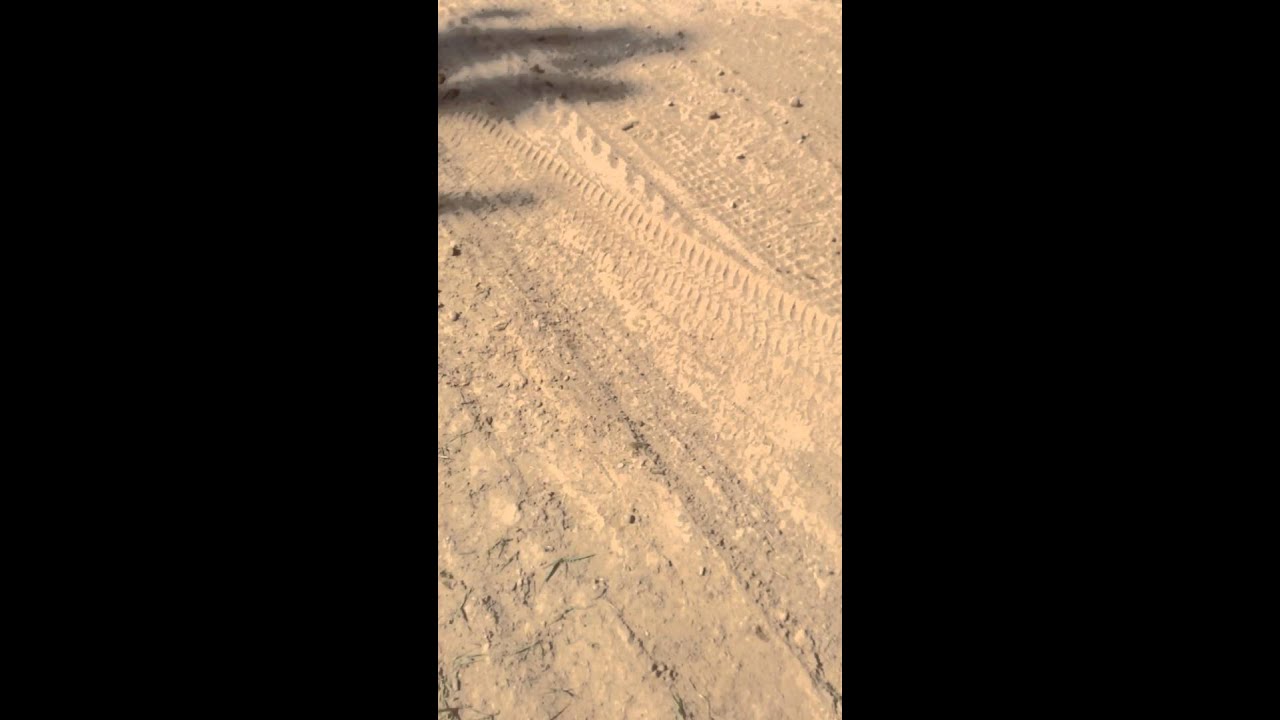 Fox lake fire
