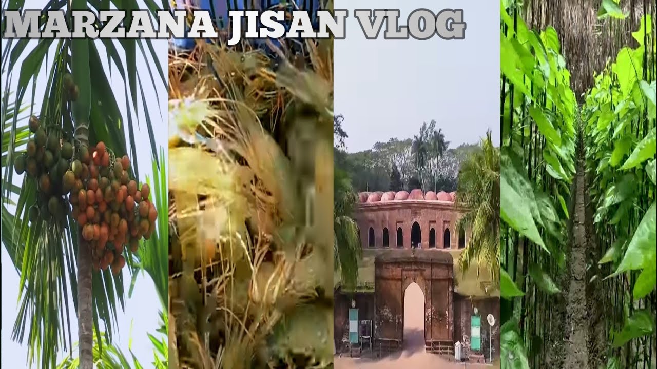 সেই চিরচেনা পথ ধরে আবার পাড়ি জমালাম প্রানের শহরে||গ্রামের প্রাকৃতিক পরিবেশে আসলে মনটা ভাল হয়ে যায়||