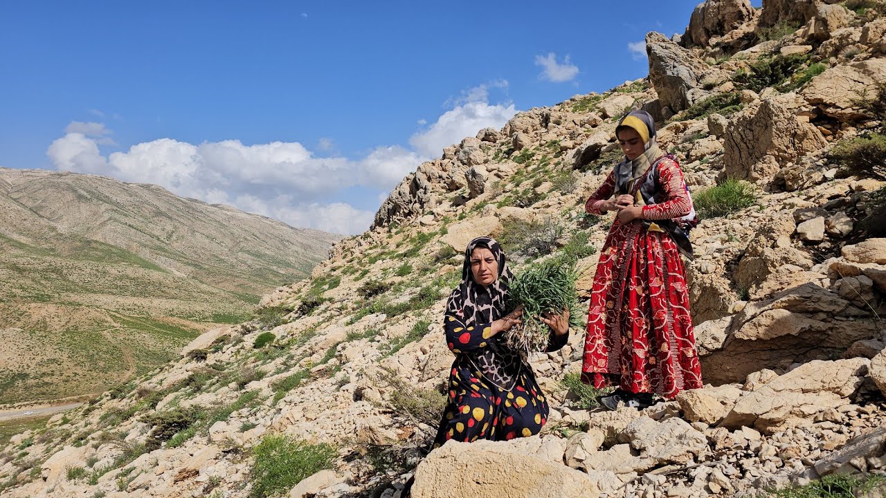Harvesting the Highlands: A Nomadic Woman's Journey to Gather Mountain Plants