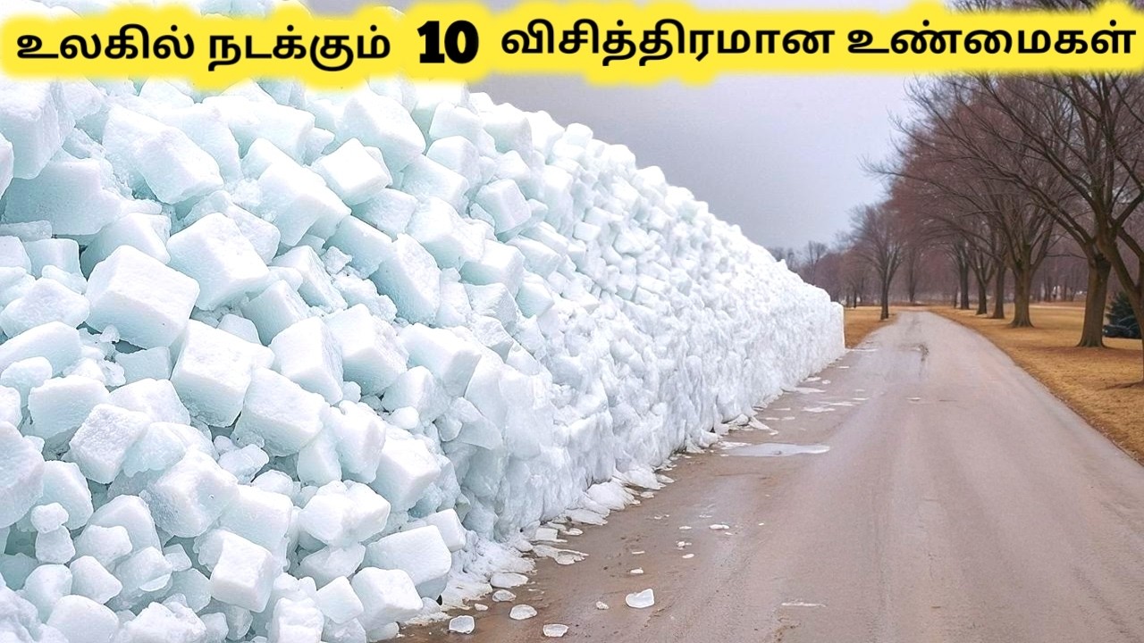 விசித்திரமான உண்மைகள் || Facts about the Most Extreme Things on Earth || Tamil Galatta News