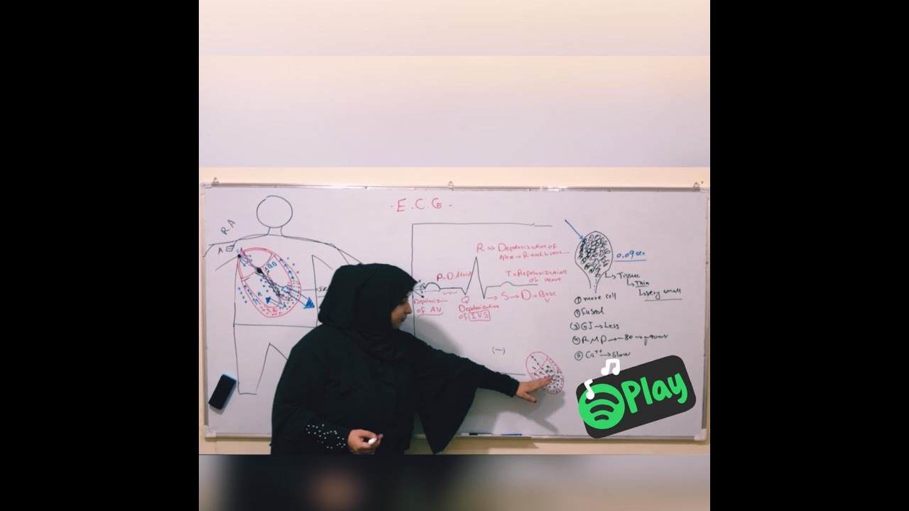 How the graphs of the heart graph are formed??_24_موجه های گراف قلب چگونه تشکیل می شوند؟