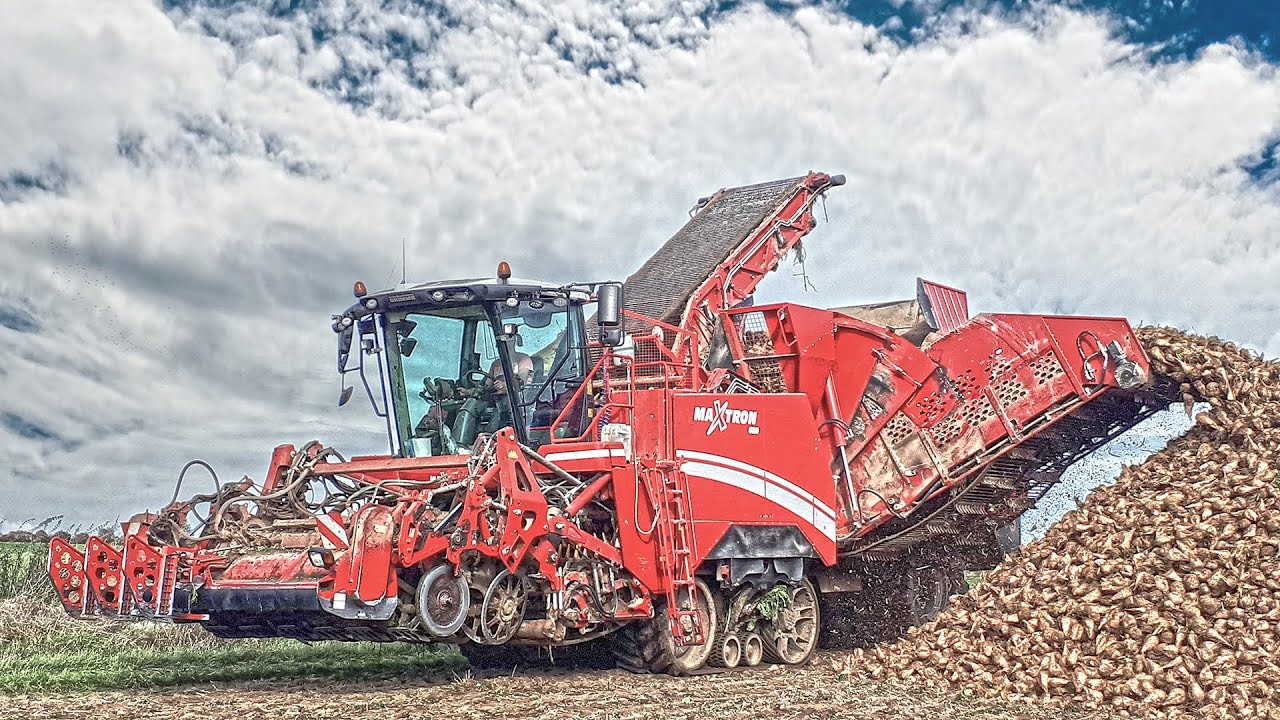 🇵🇱 Kopanie Buraków 2021 na Większą Skalę!☆Grimme MaxTron 620 & Case☆Rol-Team☆