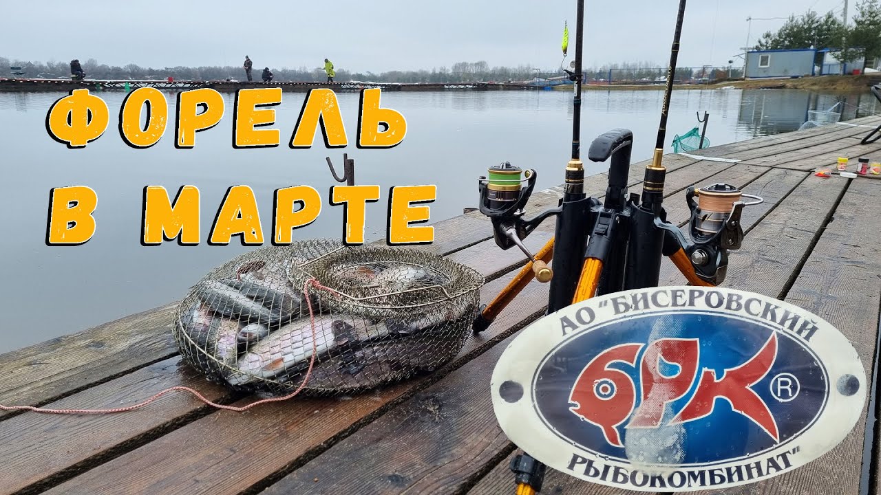 Форель в марте