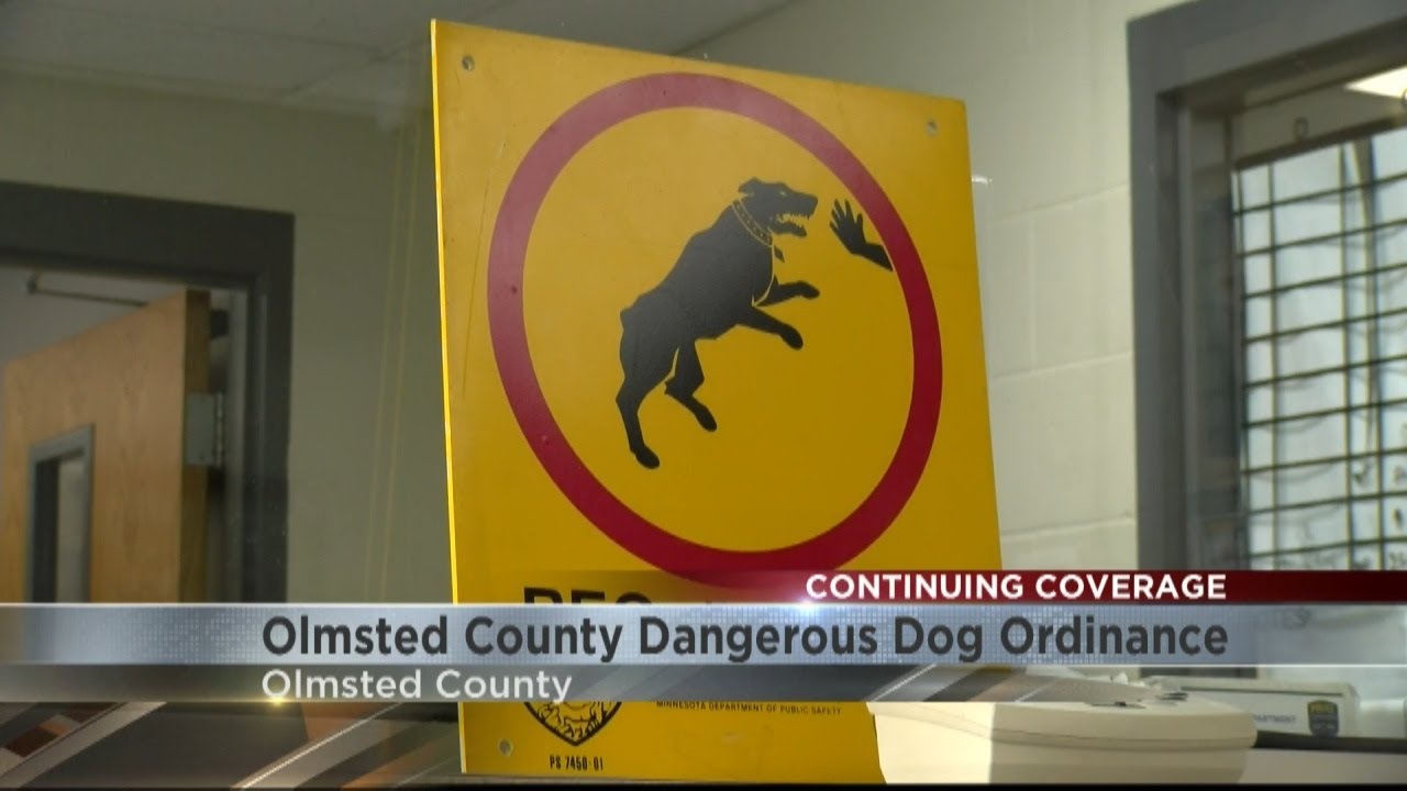 Olmstead County passes Dangerous Dog Ordinance