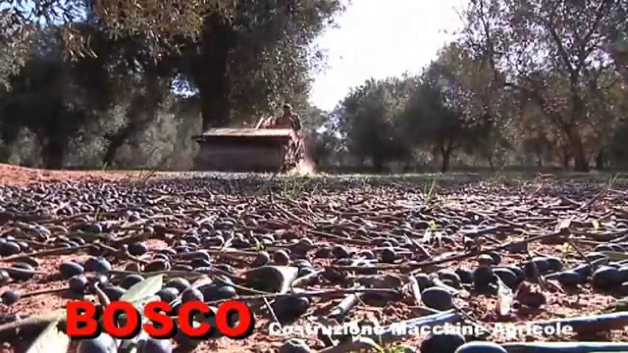 BOSCO F802 RACCOGLITRICE