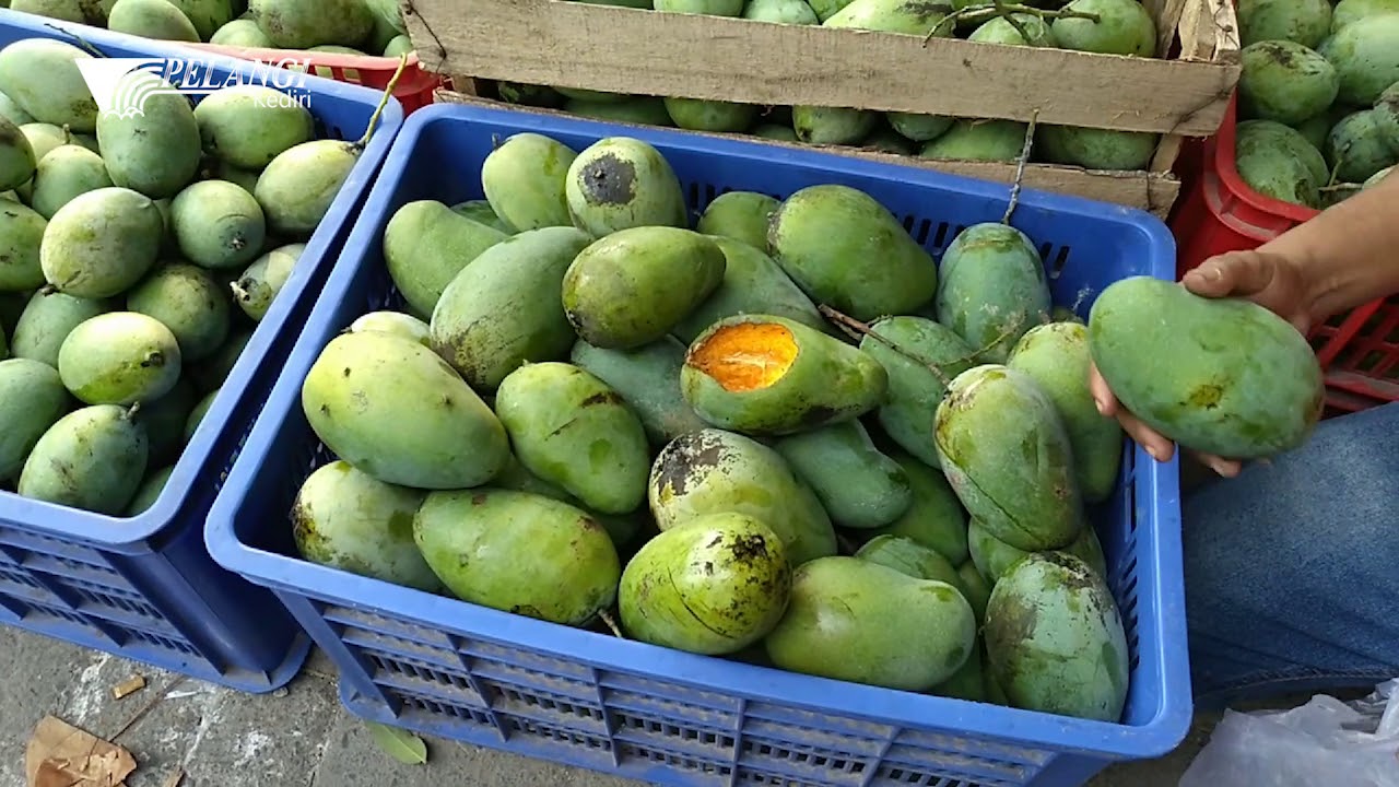 Pasar Buah Banyakan, Kab. Kediri 2020