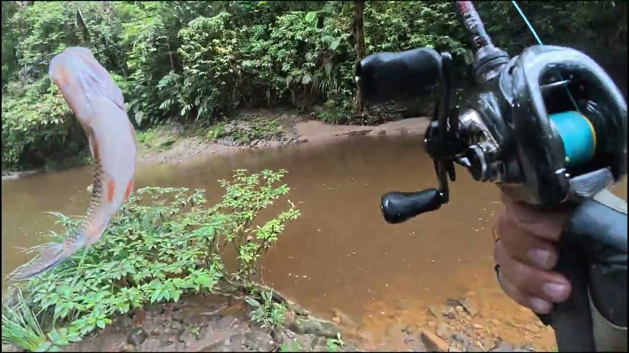 Поток быстро текущей воды, рыба #рыбалка #заброс #хампалабабон