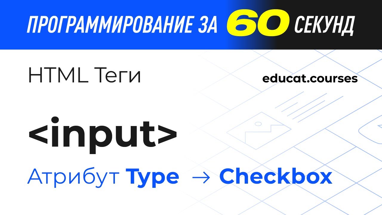 HTML CSS теги. Тег input значение checkbox