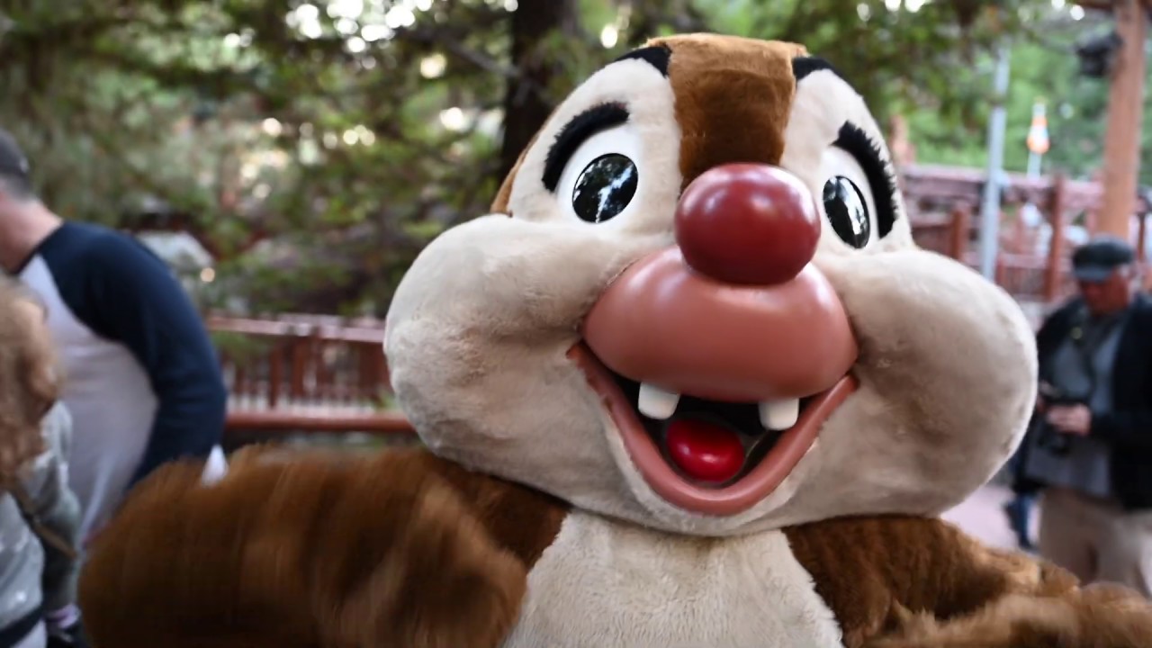 Racing Ducks With Chip and Dale at The Redwood Creek Challenge Trail