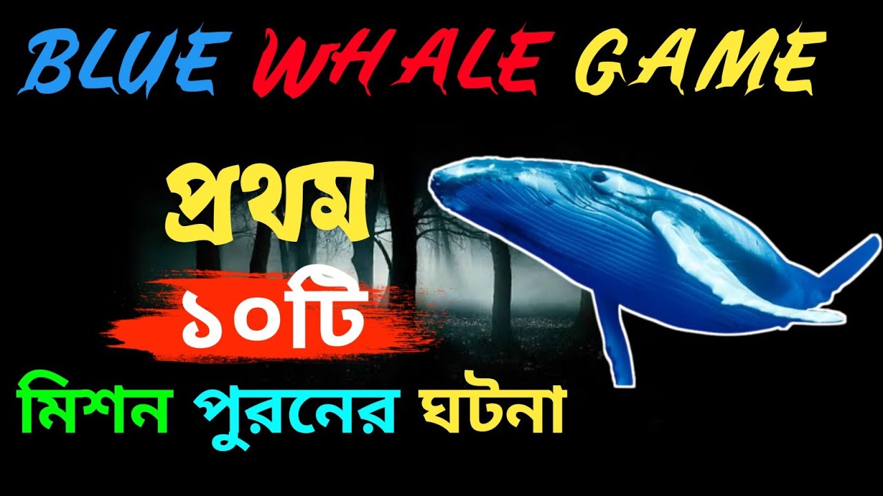 Blue Whale Game এর প্রথম ১০ টি টাস্ক কি ছিলো জেনে নিন | blue whale game story in bengali