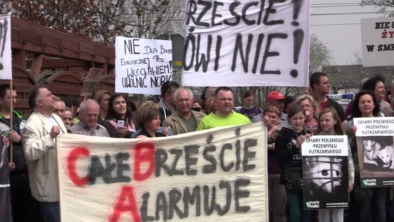 Akcja obywatelska - NIE dla gigantycznej FERMY NOREK pod Wrocławiem