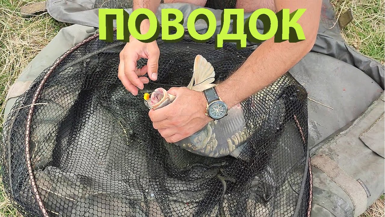 Поводок для вафтерса на карпа и амура.