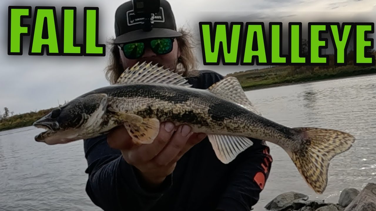 Shore Fishing the North Saskatchewan River for Early Fall Walleye!!