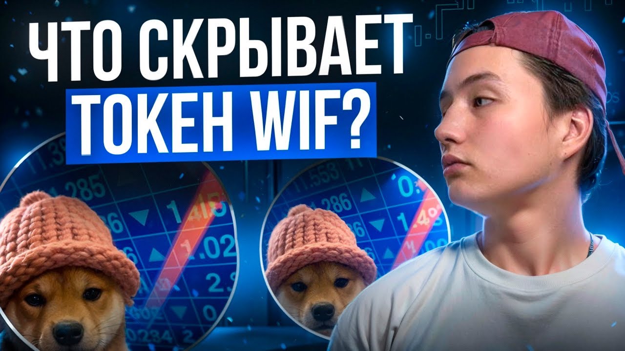 Почему все говорят о Dogwifhat? Что скрывает токен WIF