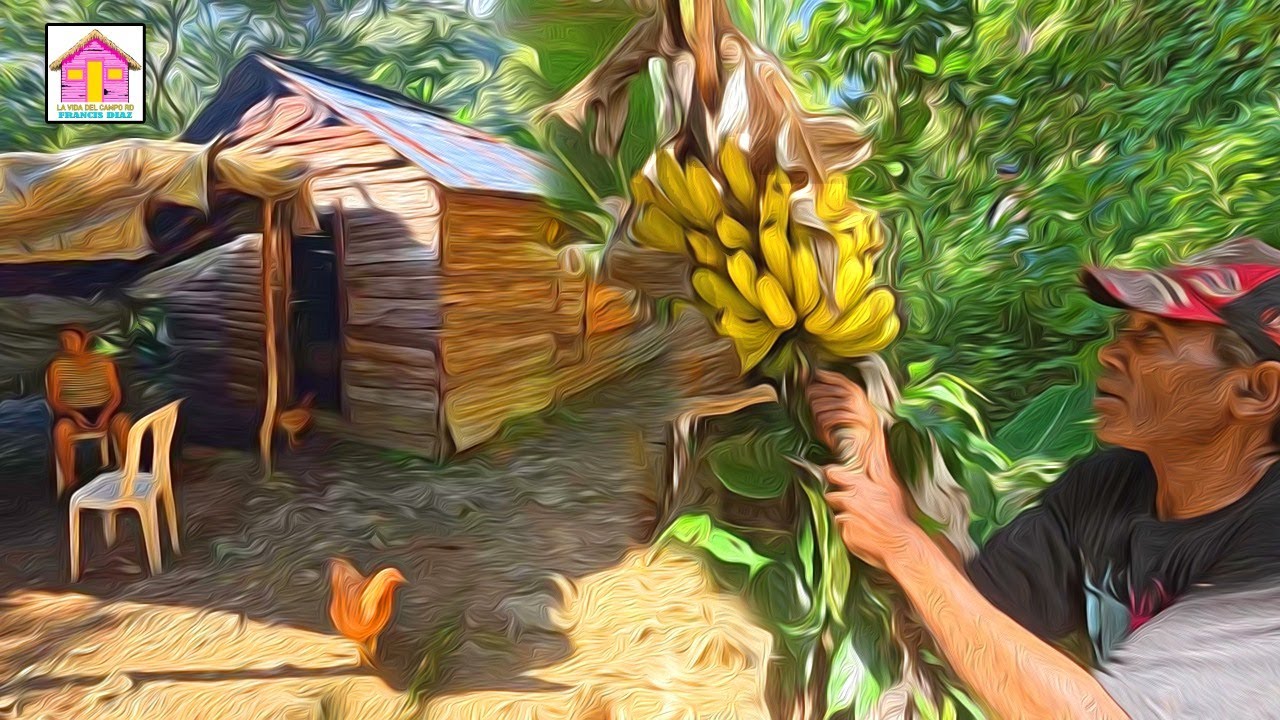 ULTIMO video de BONAO y sus campos mas profundos
